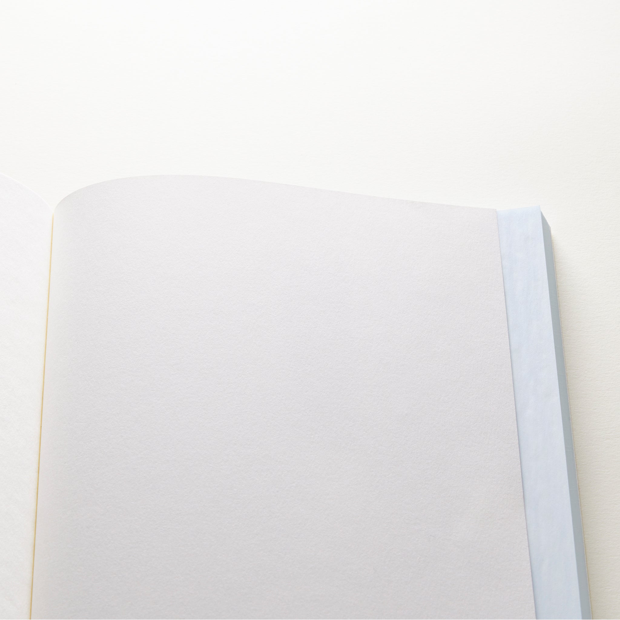 Takeo Dressco Onionskin Notebook Large