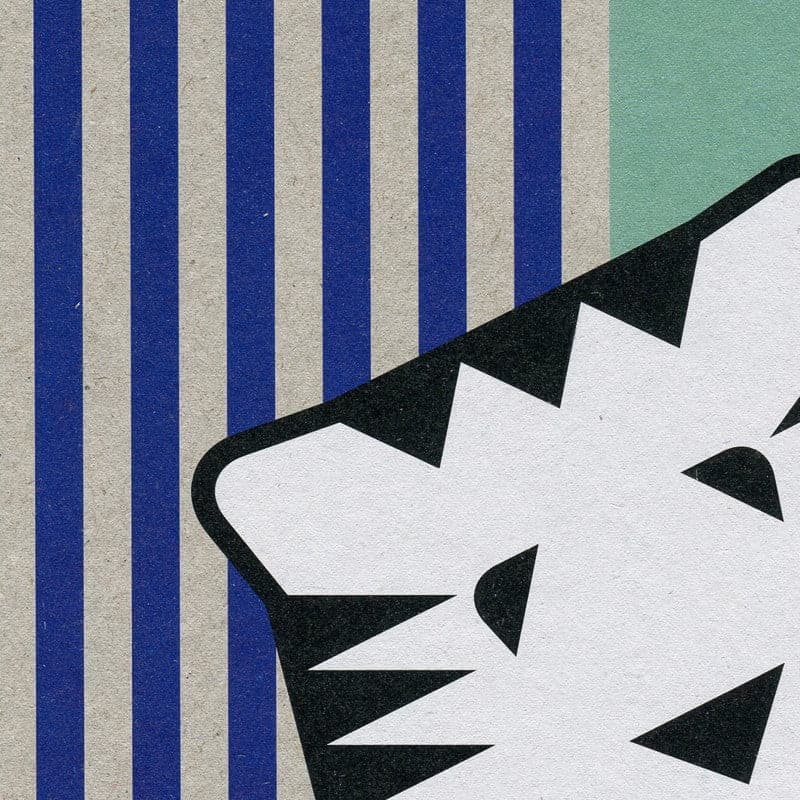 Papier Tigre Notebook A5 - Tigre