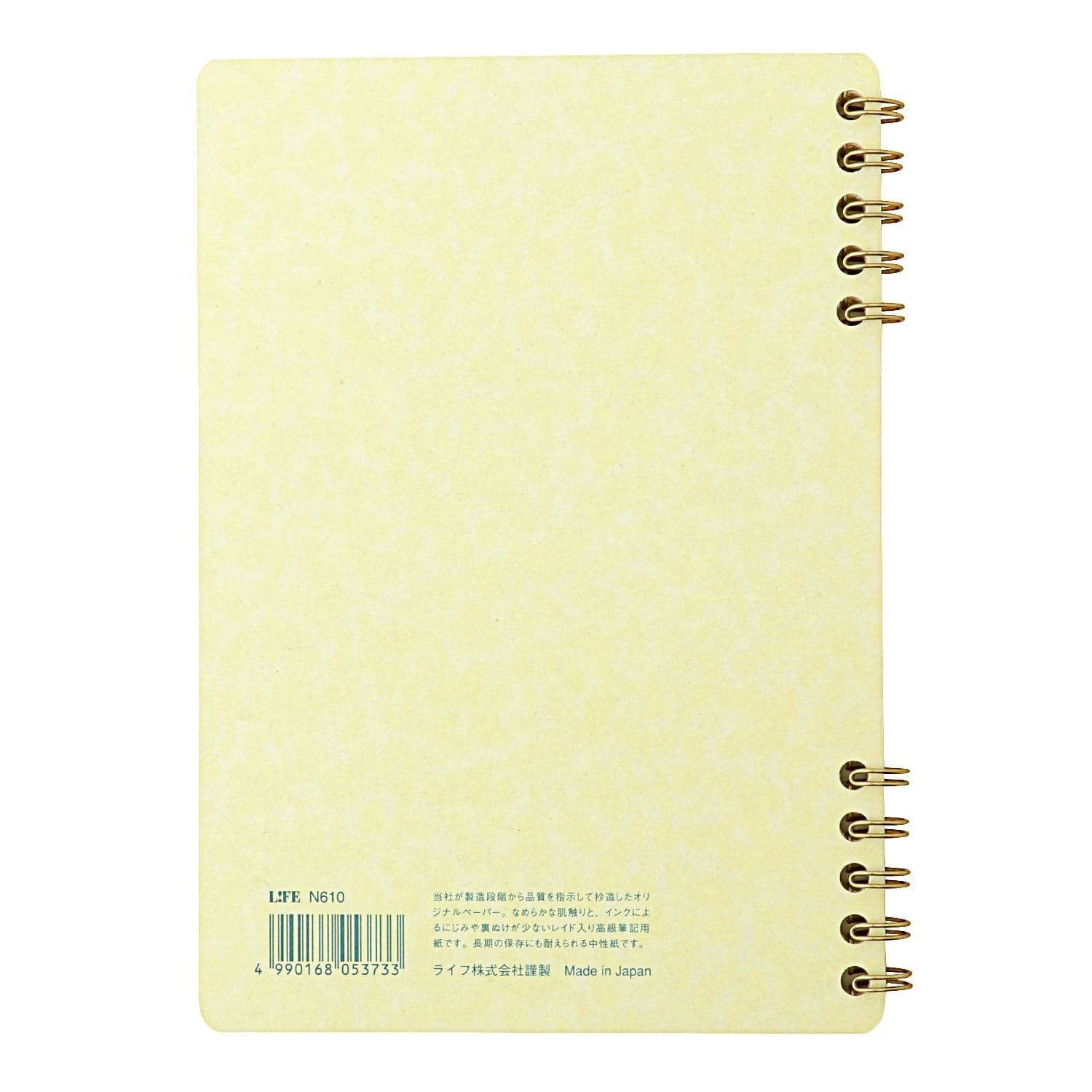 Life Cinnamon Notebook, Graph, B6