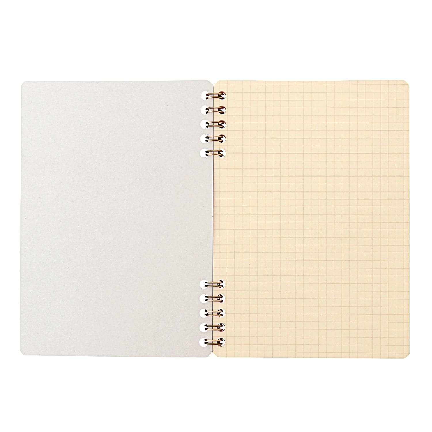 Life Cinnamon Notebook, Graph, B6