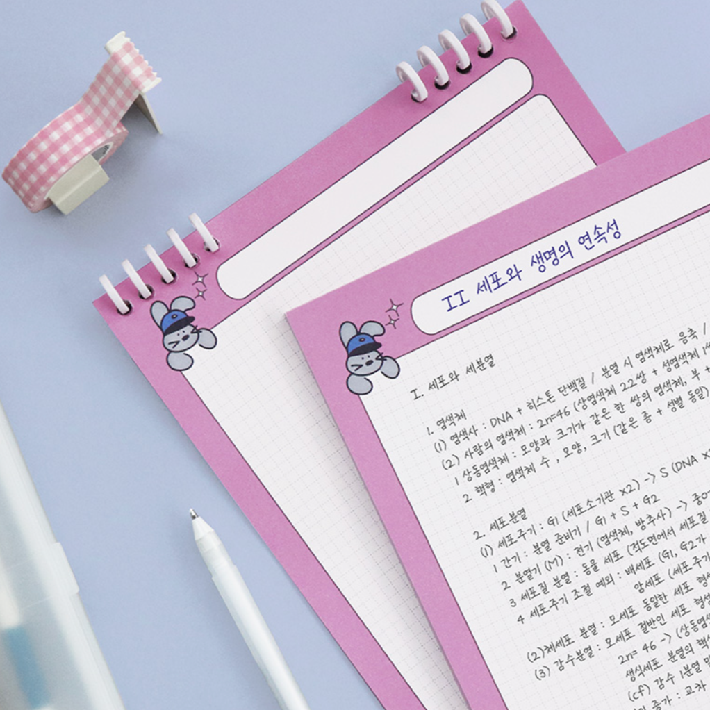 Iconic Bunny Notepad