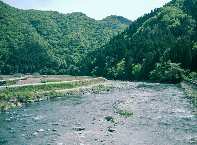 Mountain river at midday, the inspiration for hibi sense. River