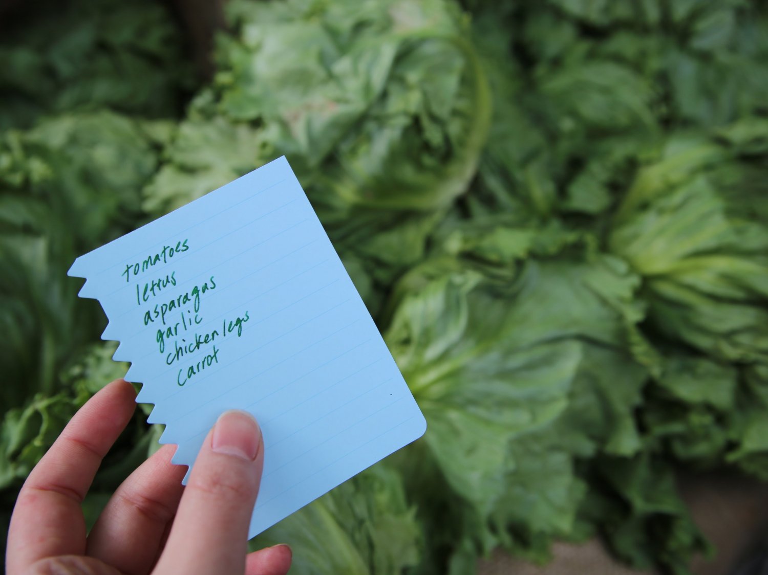 Kobeha Orissi Checklist Memo Pad