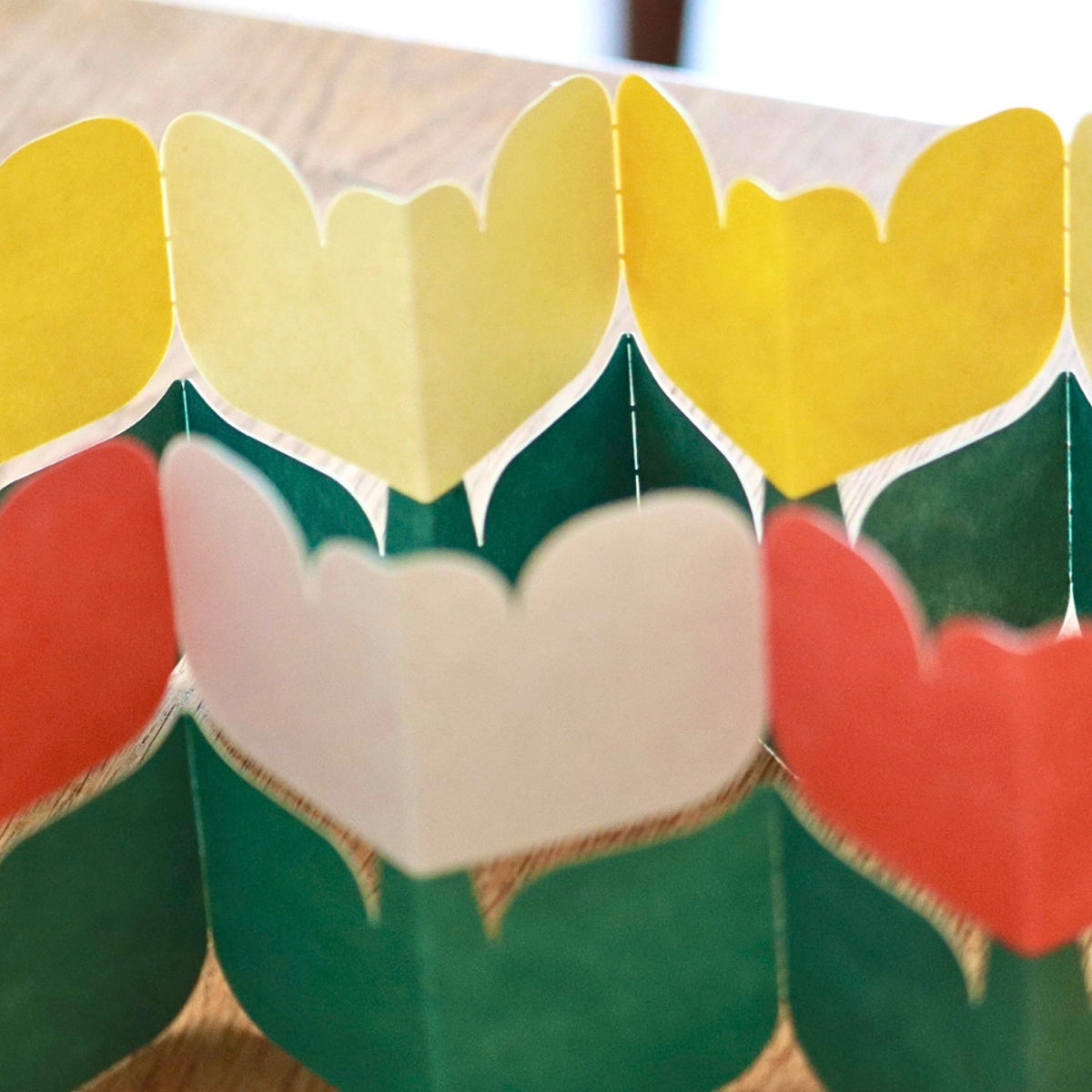 Sikigu Fold-Up Tulip Message Cards [Set of 5]