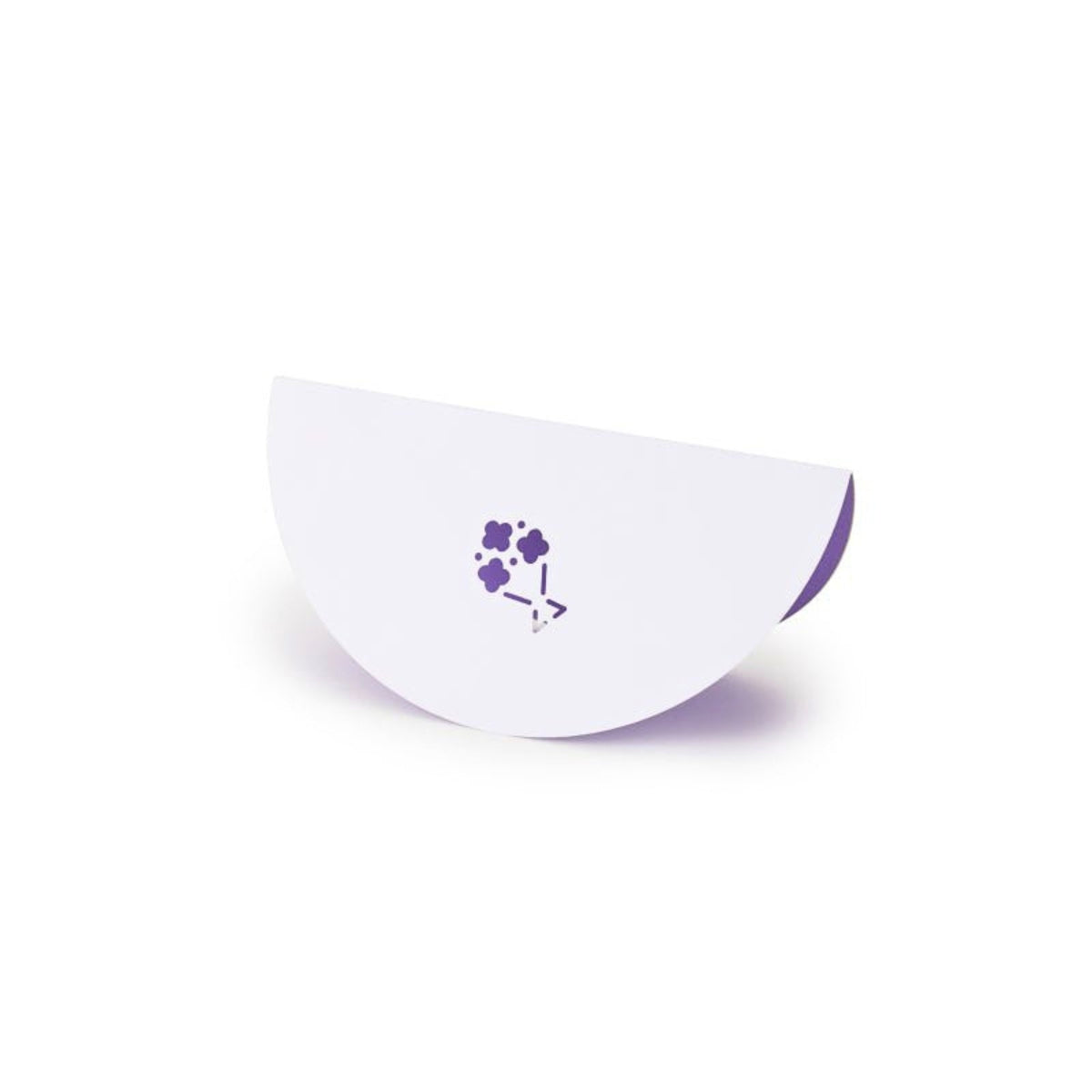 Sikigu Swing Letter Greeting Card with Special Envelope