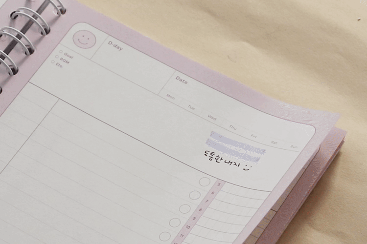 Iconic Study Planner SMILEY [4 Months]